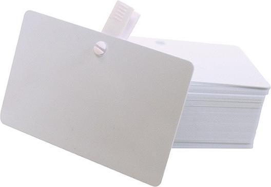 Immagine prodotto Evolis Biglietti pre-fustellati vuoti in PVC