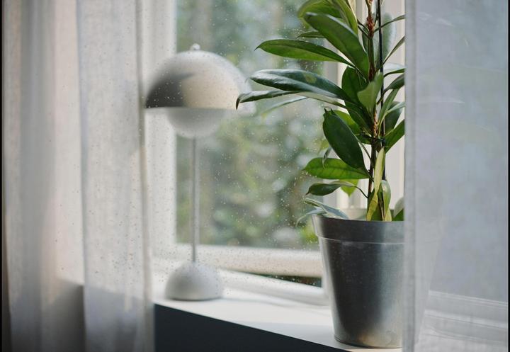 Produktbild Electrolux Well A7 &A5 Filter BREATHE Pollen Protect Filter (1 x)