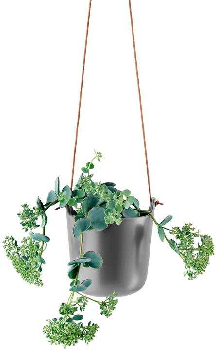 Actual product image Eva Solo Herbal Pot (15 cm)