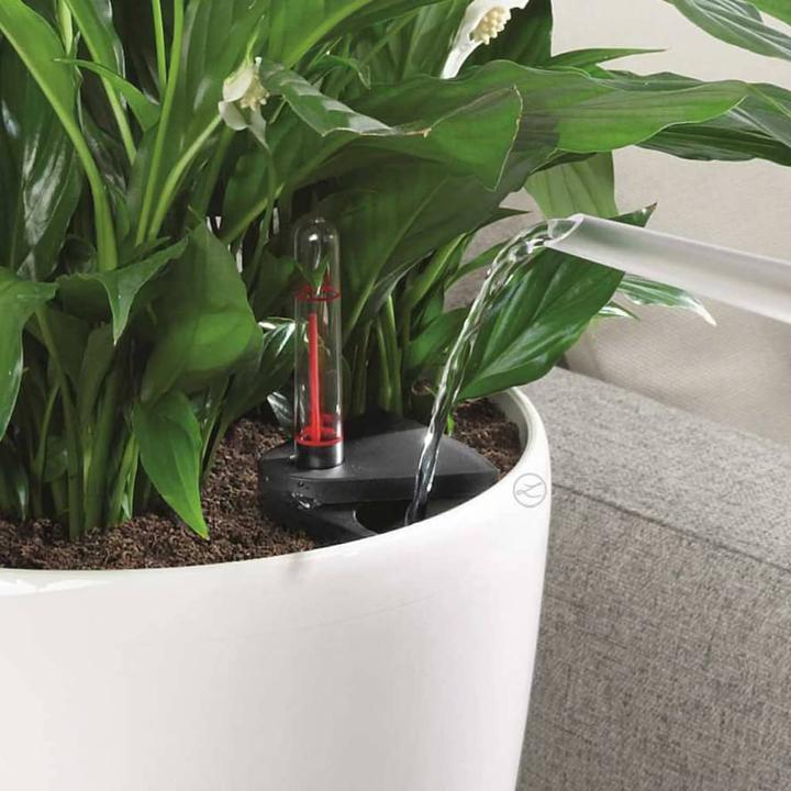 Produktbild Lechuza Classico (28.50 cm)
