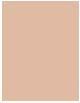 Actual product image Clinique Superbalanced Makeup (Vanilla)