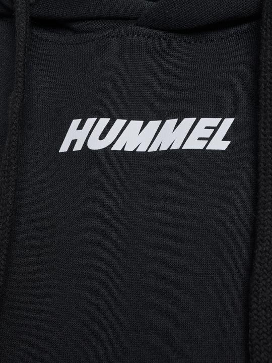 Actual product image hummel Hmlelemental Short Hoodie Woman (XL)