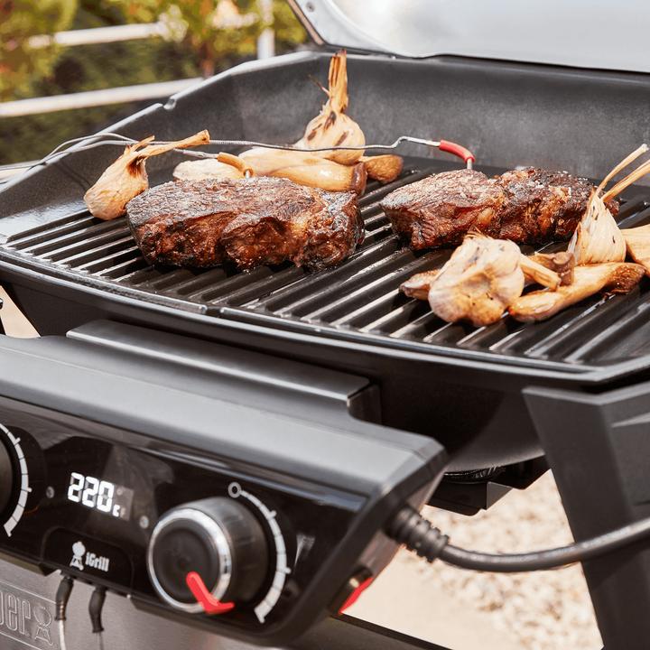 Immagine prodotto Weber Pulse 2000 con supporto (2.20 kW)