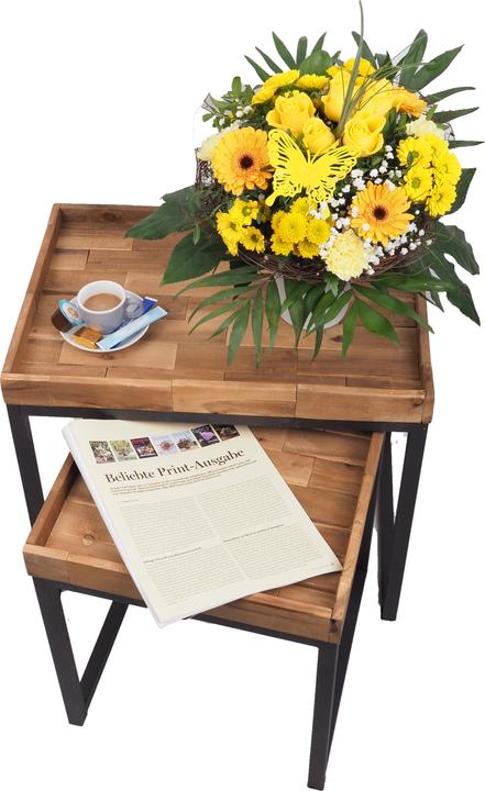 Actual product image Migros Ostschweiz Biedermeier ostrich large (Cut flowers)