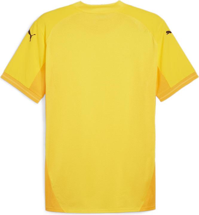 Actual product image Puma teamFINAL Jersey (XXL)