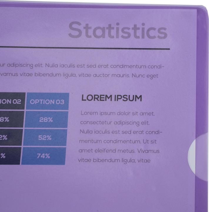 Actual product image Exacompta Aktensichthüllen (A4, 10 x)