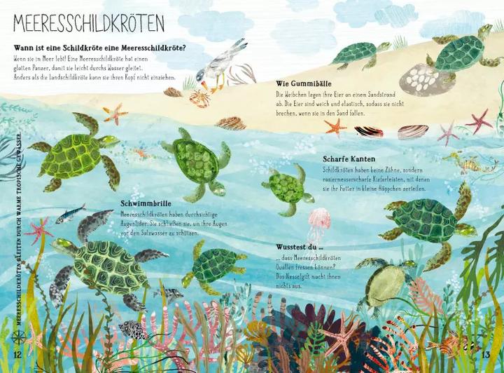 Image du produit Was lebt im grossen tiefen Blau? (Allemand, Yuval Zommer, 2019)