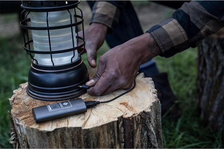 Actual product image Barebones Lantern FOREST