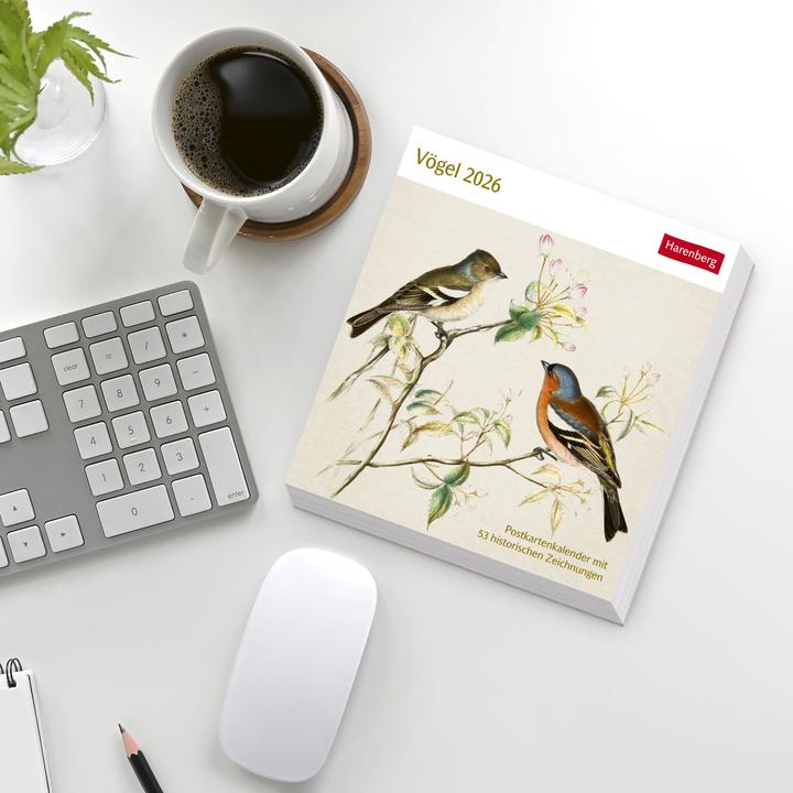 Produktbild Harenberg Vögel Postkartenkalender 2026 - Postkartenkalender mit 53 historischen Zeichnungen (Harter Einband, Deutsch)
