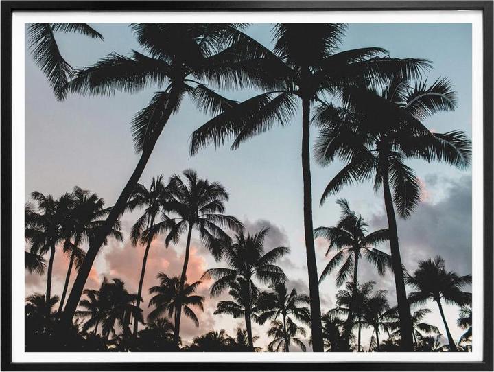 Produktbild Trenddeko Sunset and Palms (60 x 50 cm)