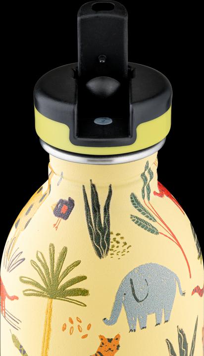 Actual product image 24 Bottles Urban (0.25 l)