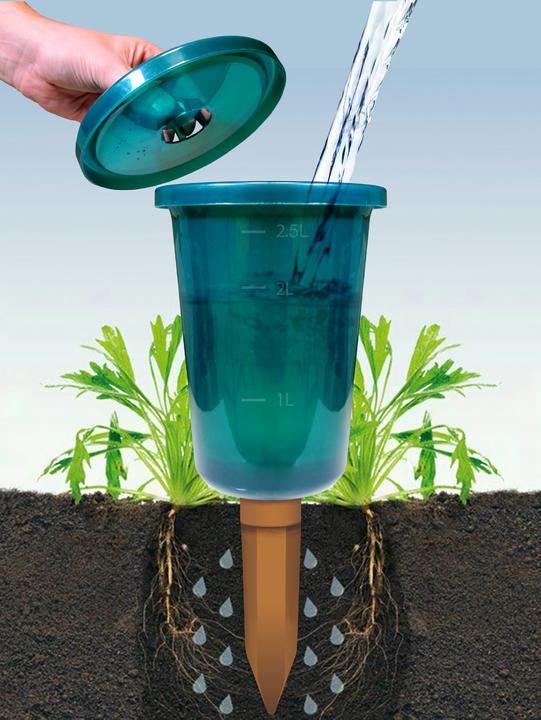 Image du produit Bio Green Ensemble de tasses Hydro (Cône d'argile)