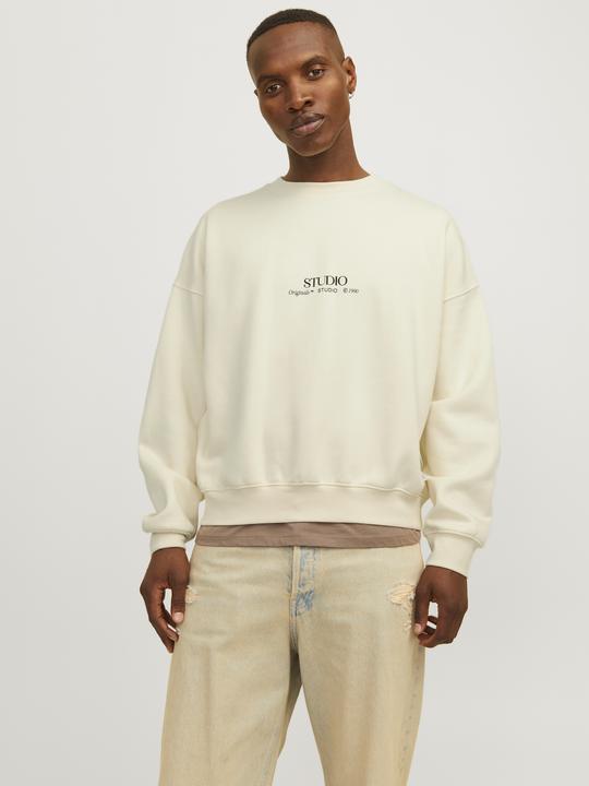 Produktbild Jack & Jones Jorbrooklyn Graphic Sweat Crew Neck Ln (XL)