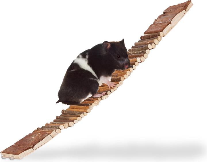 Image du produit Relaxdays Pont suspendu rongeurs