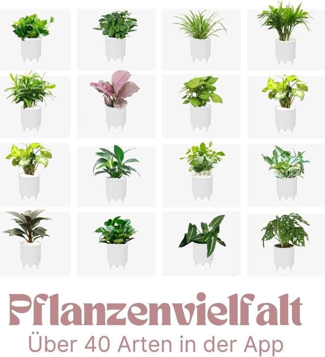 Image du produit Hermex Pot de fleurs intelligent (11 cm)