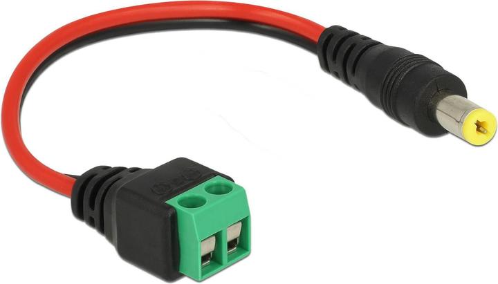 Actual product image Delock DC connector to 2 pin terminal block (Power cables)