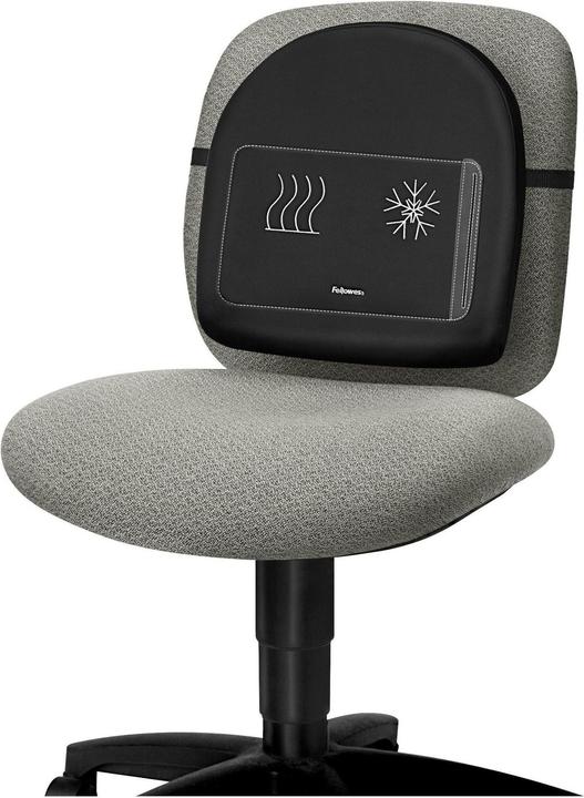 Image du produit Fellowes Support dorsal Professonal Series