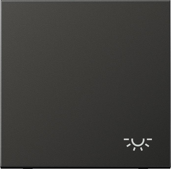 Image du produit JUNG Bascule interrupteur LS antht lumière AL2990LAN