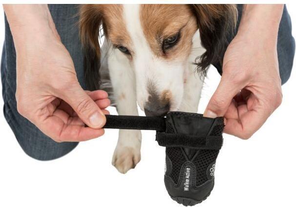 Produktbild Trixie Walker Active (XS, Hundeschuhe)