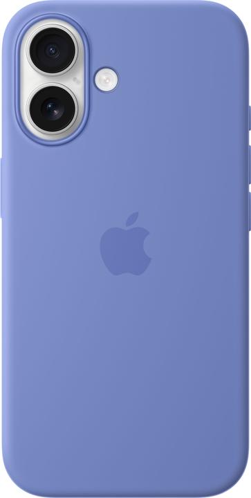 Periwinkle