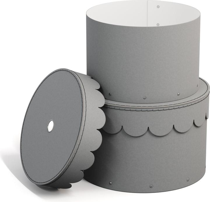 Actual product image Bigso Wilma storage box