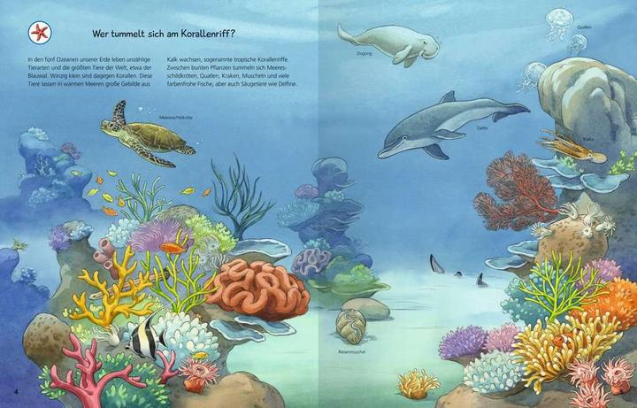 Image du produit Ravensburger Livret d'autocollants animaux du monde
