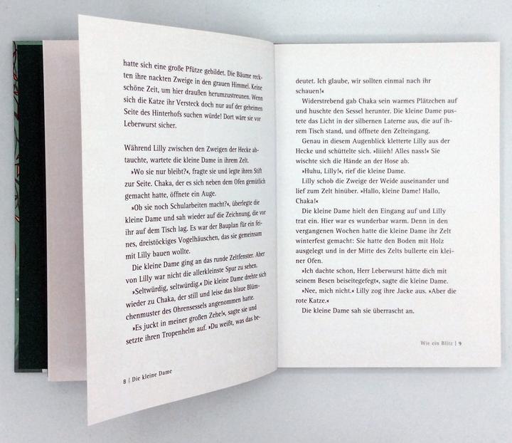 Actual product image The little lady and the red prince (Stefanie Taschinski, German)