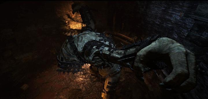 Actual product image Capcom Dragon's Dogma: Dark Arisen -US- (Switch, Switch Lite, Switch OLED, EN)