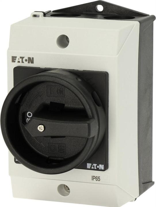 Eaton Main switch, 2-pole, 20 A, enclosed, 90