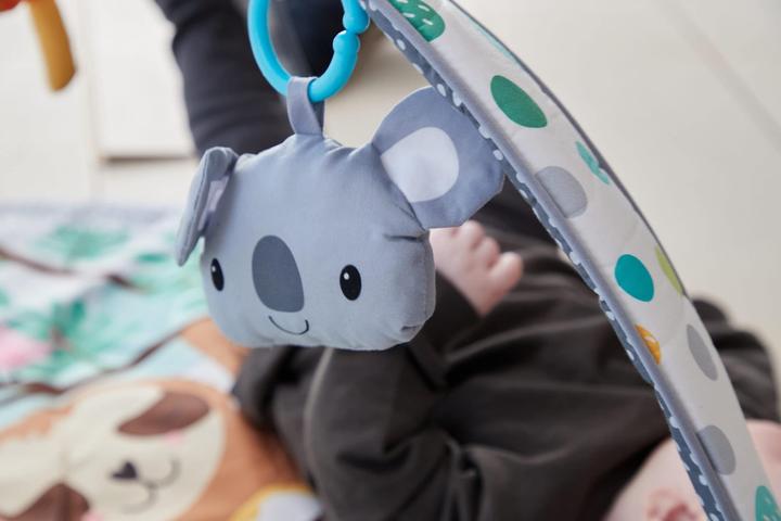 Immagine prodotto Scandinavian Baby Products Palestra di pianoforte Kick & Play