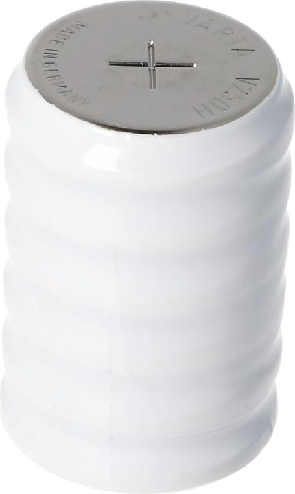 Actual product image AccuCell Akku 6/V250H / Säule und passend für Servox inton Sprechhilfe (6 pcs., Device specific, 250 mAh, Battery + charger)