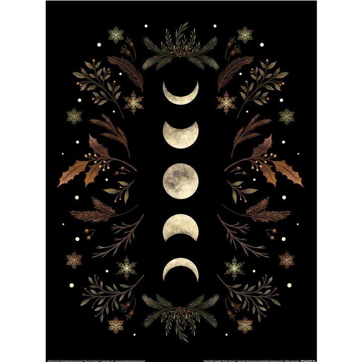 Image du produit Episodic Drawing - Imprimé MOONLIGHT GARDEN WINTER BROWN (40 x 30 cm)