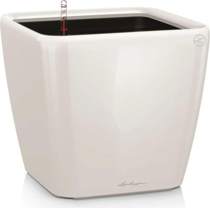 Lechuza Quadro LS (28 cm)