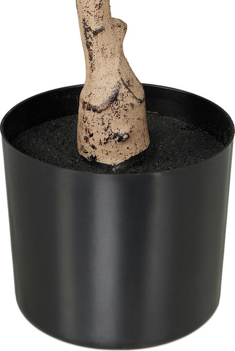 Productafbeelding Relaxdays Olivenbaum (90 cm)
