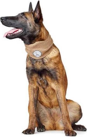 Immagine prodotto Hunter Sciarpa per cani Malmö (Scarpe per cani)