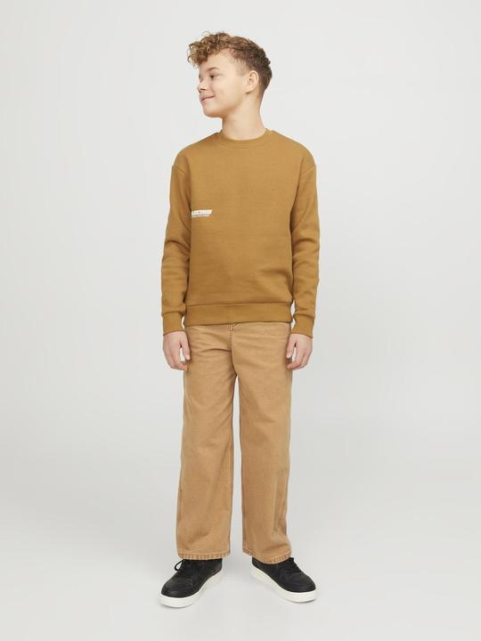 Actual product image Jack & Jones Jorcollect Edt Loose Sweat Crew Jnr (140)