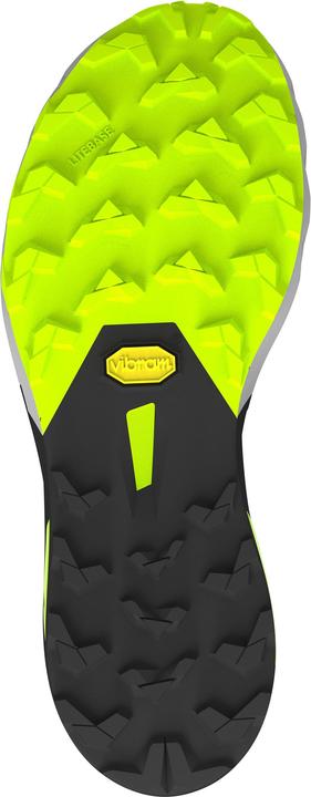 Actual product image Dynafit Alpine DNA 2 running shoes unisex (42)