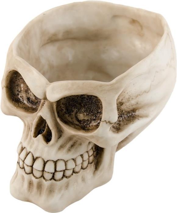 Image du produit Chaks Tête de mort en forme de bol