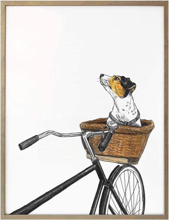Produktbild Trenddeko Hund im Korb (50 x 60 cm)