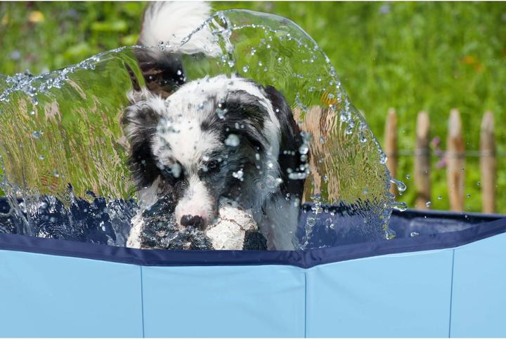 Produktbild Champ Grosser Hundepool (Hundepool)