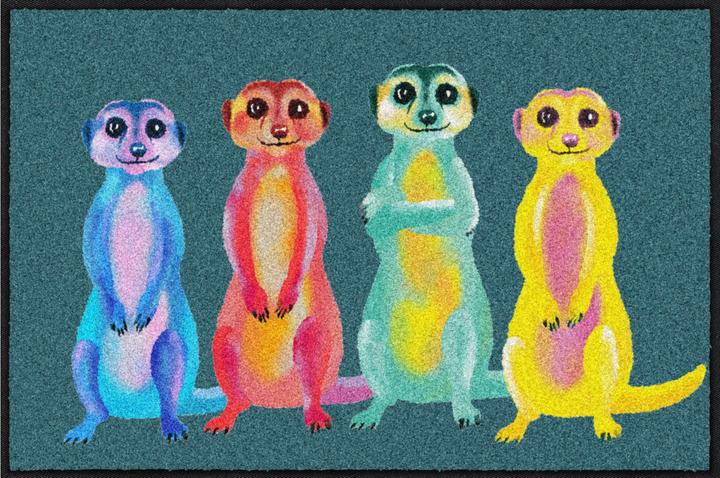 Salonloewe Zerbino Rainbow Meerkats 50 cm x 75 cm (50 x 75 cm)