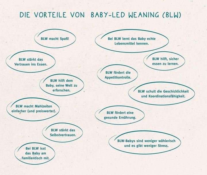 Immagine prodotto Baby-led Weaning - Das Grundlagenbuch (Tedesco, Gill Rapley, Murkett Tracey, 2021)