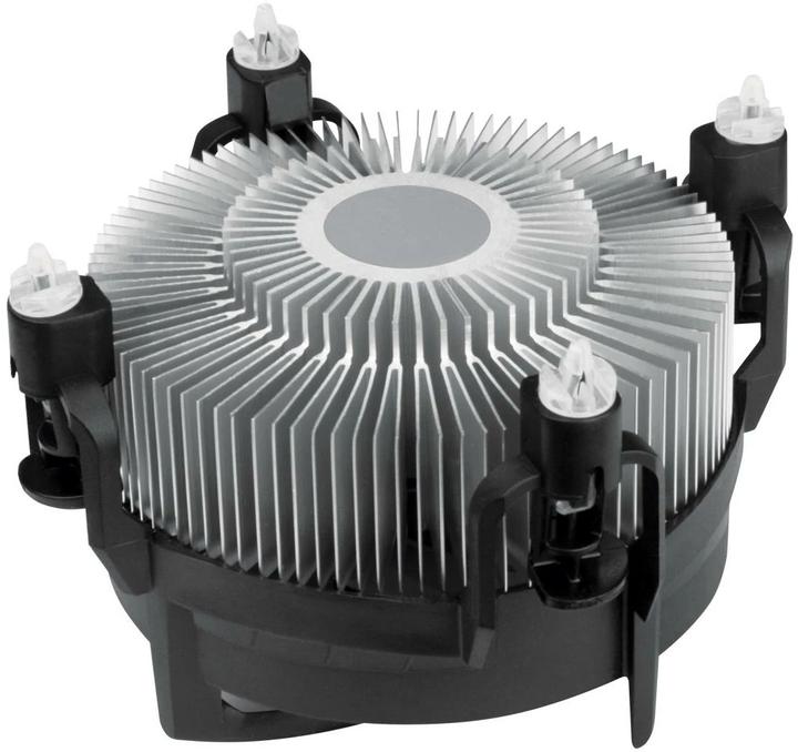 Image du produit Arctic Alpine 17 CO (77 mm)