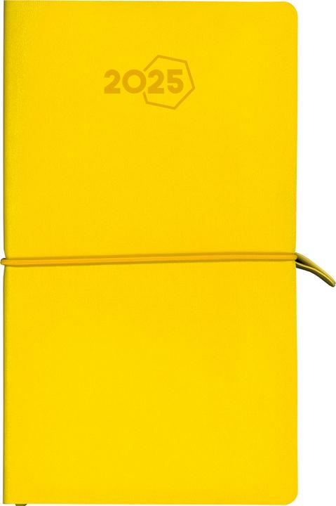Image du produit Aurora Agenda Visuplan Tesoro 2025 2016 1W/2S ass. ML 9x16.5cm (Allemand)