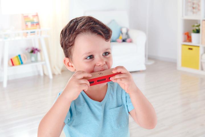 Produktbild Hape Blues Harmonika (Deutsch, Französisch, Italienisch, Englisch)