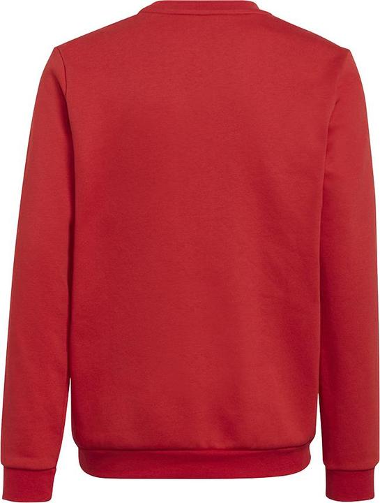 Actual product image adidas Entrada 22 sweatshirt kids (164)