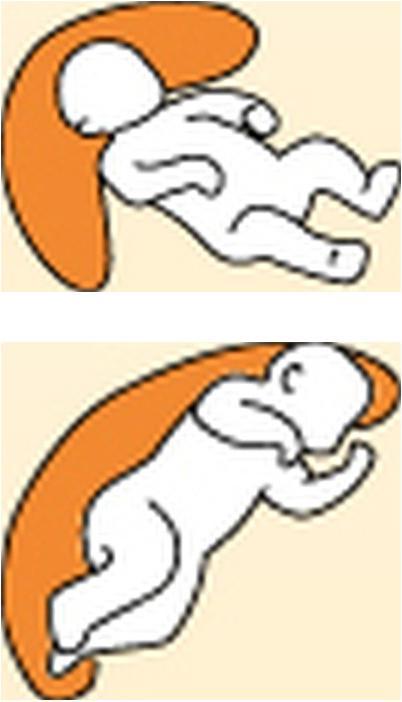Image du produit Kuli-Muli Positionnement des oreillers (100 cm)