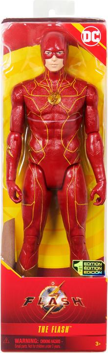 Actual product image Spin Master DC action figure