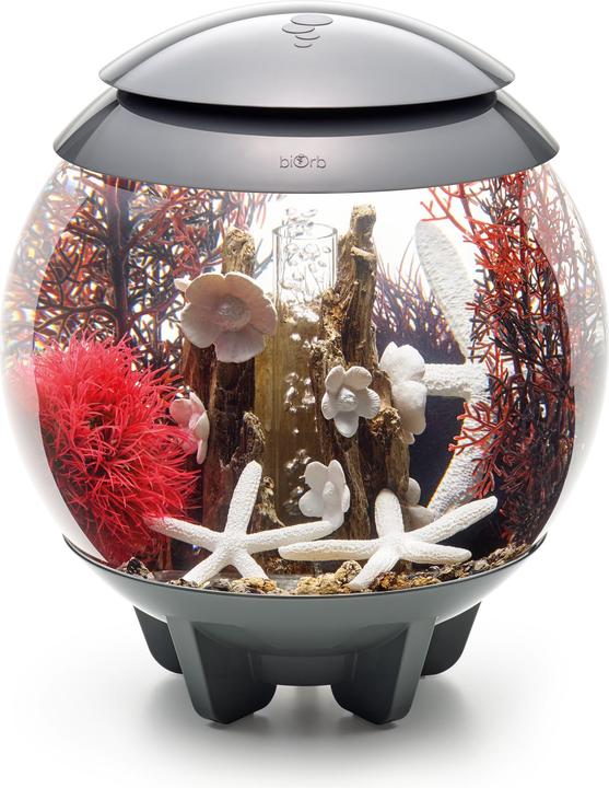 Actual product image Oase biOrb Aquarium 15 Decor Set (Embellishment, other items)