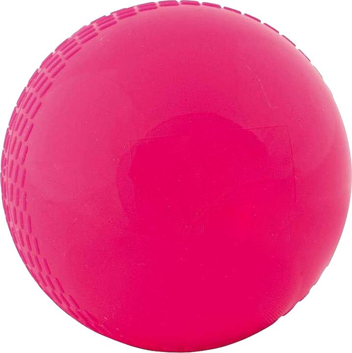 Immagine prodotto Readers Palla da cricket Windball